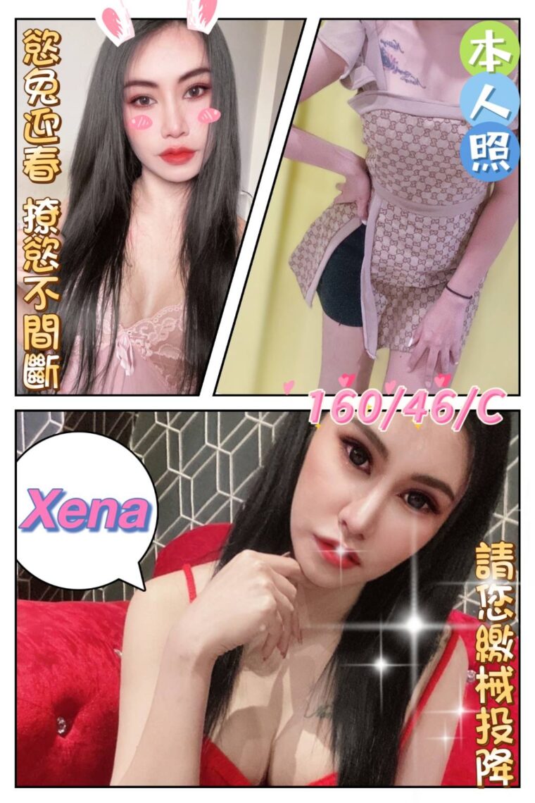 嘉義定點Xena 1